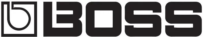 BOSE ST-2 Power Stack - logo