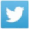 Twitter Icon