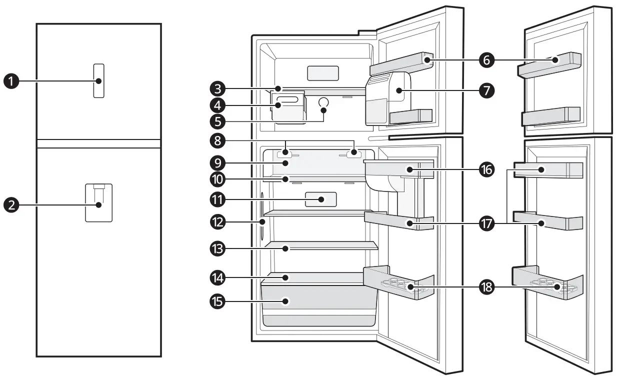 LG 230106 Fridge and Freezer - Interior