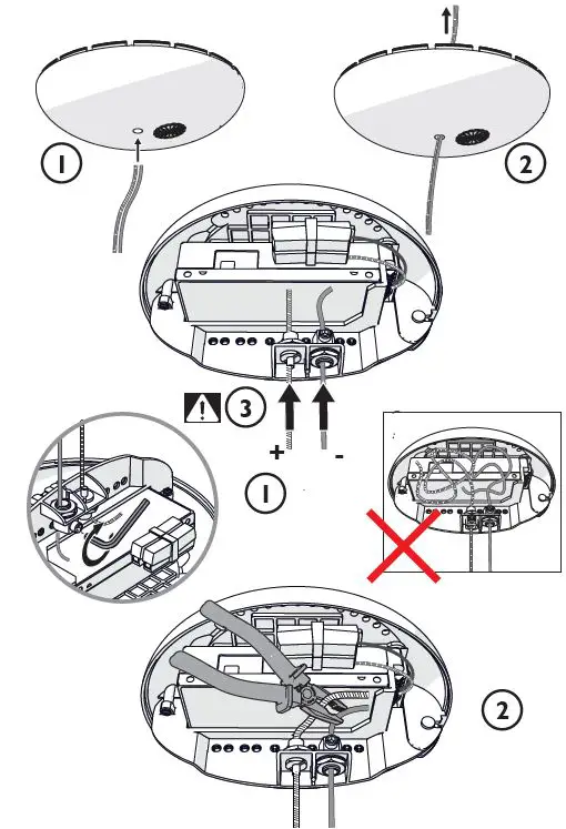 MOOOI-III-Linear-Heracleum-Linear-FIG-12