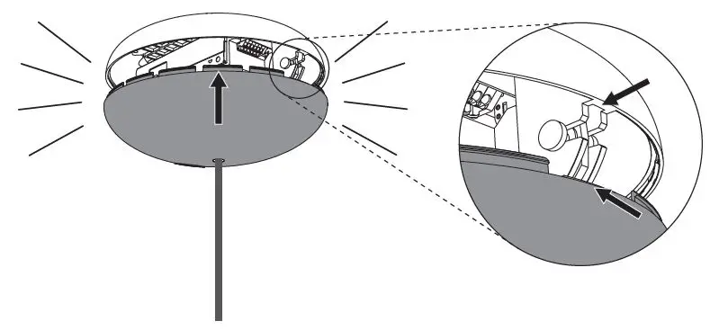 MOOOI-III-Linear-Heracleum-Linear-FIG-14