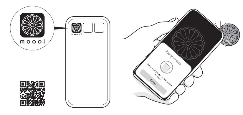 MOOOI-III-Linear-Heracleum-Linear-FIG-15