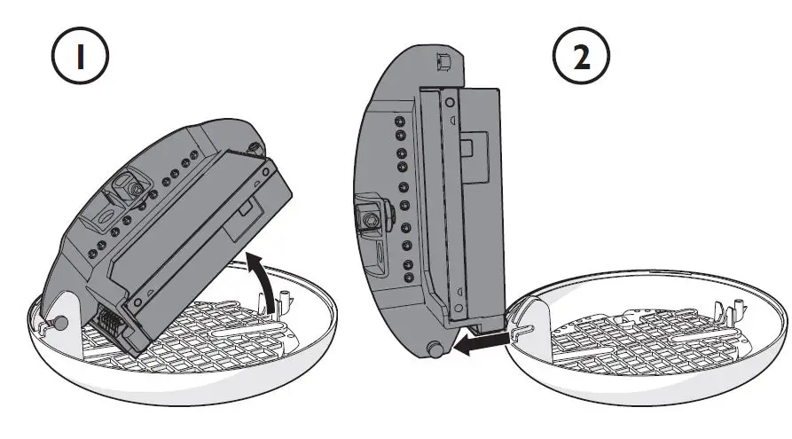 MOOOI-III-Linear-Heracleum-Linear-FIG-4