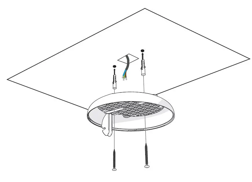 MOOOI-III-Linear-Heracleum-Linear-FIG-6