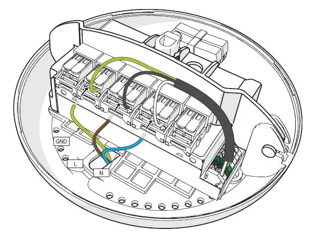 MOOOI-III-Linear-Heracleum-Linear-FIG-8