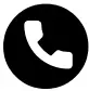 Phone Icon