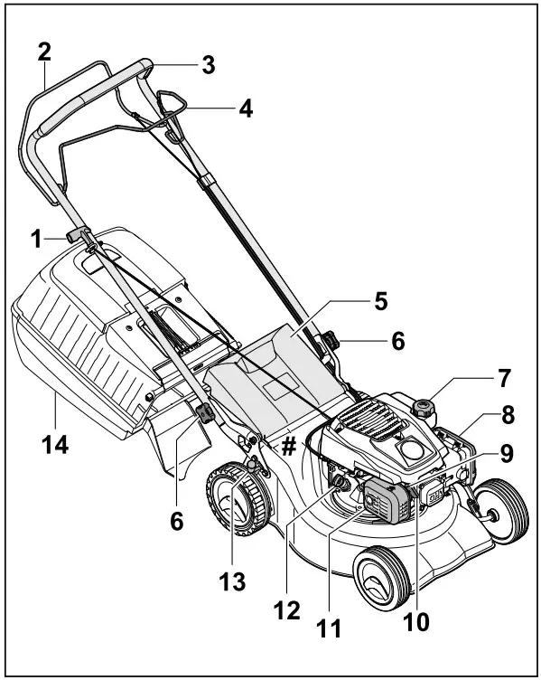 STIHL RM 248.2 T Petrol Lawn Mower - Lawn Mower.