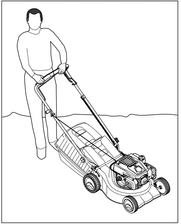 STIHL RM 248.2 T Petrol Lawn Mower - Mowing