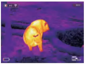 InfiRay-Eye-Series-E3W-C2W-Thermal-Monocular-FIG-3