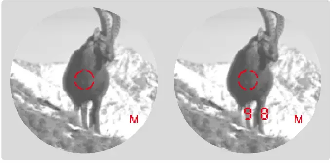 Leica-Geovid-Pro-Binoculars-FIG 20