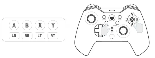 EVOFOX-Elite-X-Wireless-Controller (15)