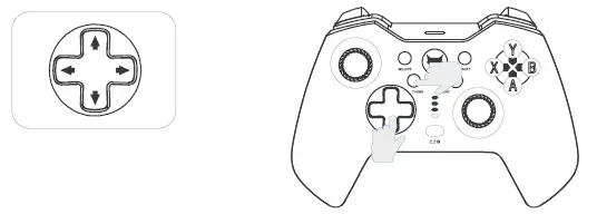 EVOFOX-Elite-X-Wireless-Controller (16)