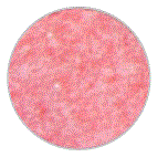 CHOWIS-Dermo-Pico-dpi-harris-Mobile-Hair-Analyzer-FIG-11