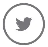 Twetter Icon