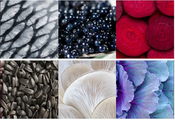 Steel AQ10SF 6W NA C Ascot 100cm Nuvola with Chrome Trim Dual Fuel Freestanding Cooker