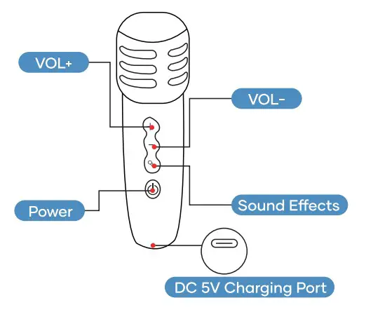 BIGASUO KA217 Karaoke Machine - Microphone