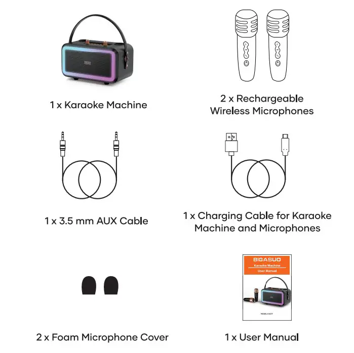 BIGASUO KA217 Karaoke Machine - product