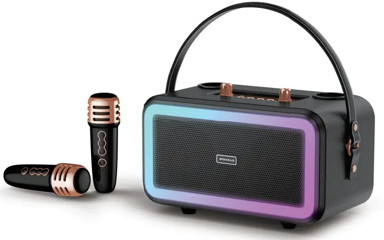 BIGASUO KA217 Karaoke Machine