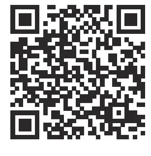 HABYS-Libra-4-Massage-Table-FIG- (4)