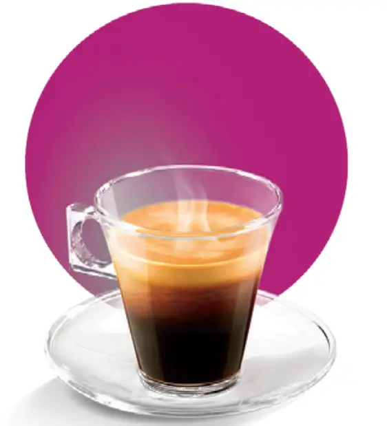 Discover The Whole Family