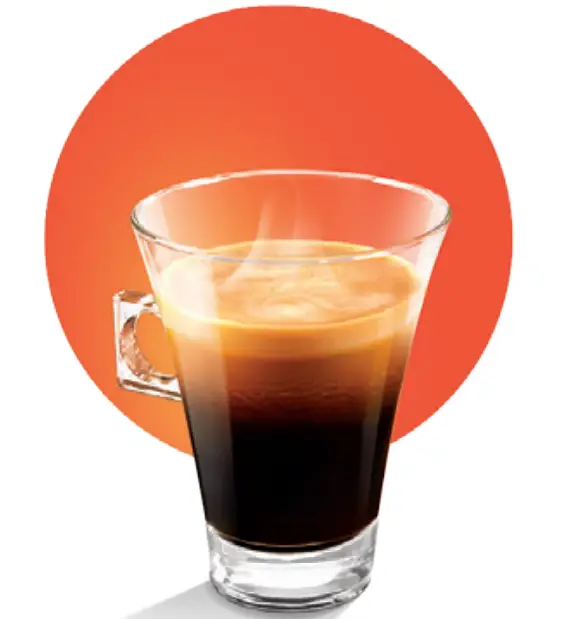 Discover The Whole Family