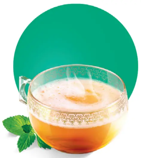 Discover The Whole Family