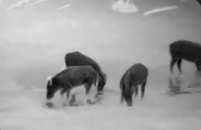 Guide-Sensmart-TS-Series-Thermal-Rifle-Scope-fig-1