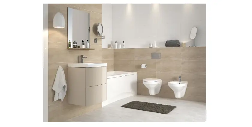 Cersanit Delfi Wall Hung Toilet Instruction Manual