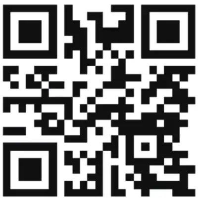 selorr Q30 Wireless Earbuds - qr