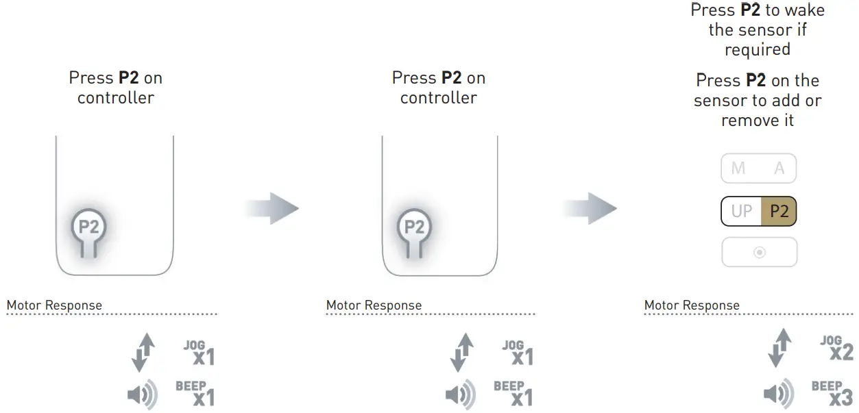 ROLLEASE ACMEDA AUTOMATE Solar Powered Wind and Light Sensor - PAIRED REMOTE