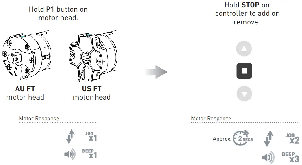 ROLLEASE ACMEDA AUTOMATE Solar Powered Wind and Light Sensor - REQUIRED