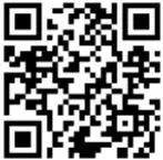 Bebe-Stars-100-180-Gym-Piano-Raccoon-fig- (12)