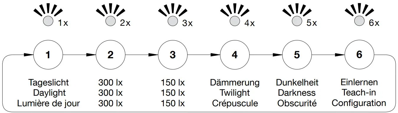Connection The Flashes