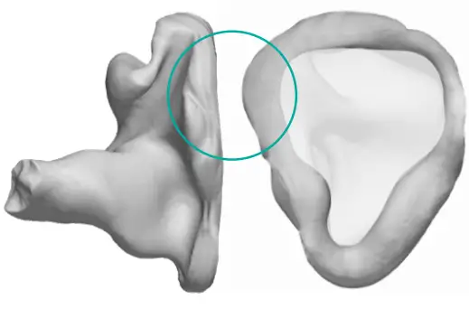 AUDIOLOGIST Custom In Ear Monitors -