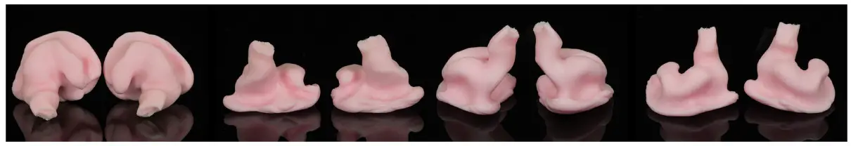 AUDIOLOGIST Custom In Ear Monitors - positions