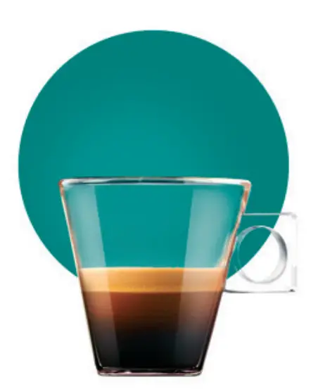 Discover The Whole Family