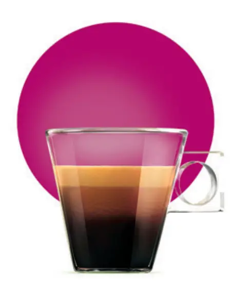 Discover The Whole Family