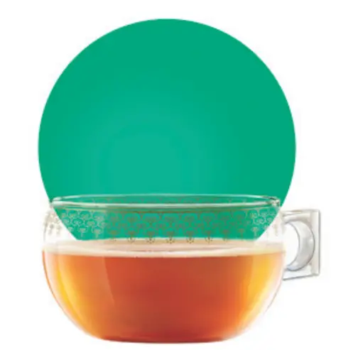 Discover The Whole Family