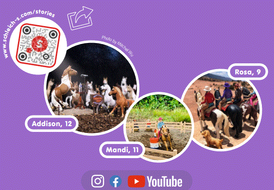 schleich-42439-Mobile-Vet-with-Hanoverian-Foal-FIG-20