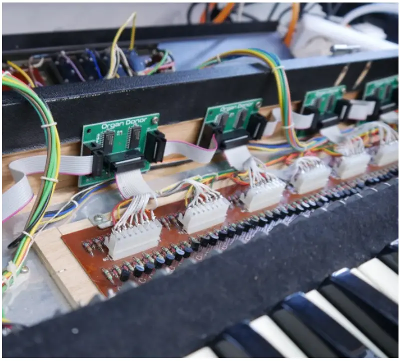 OrganDonor Roland RS 202 String Synthesizer - midi socket