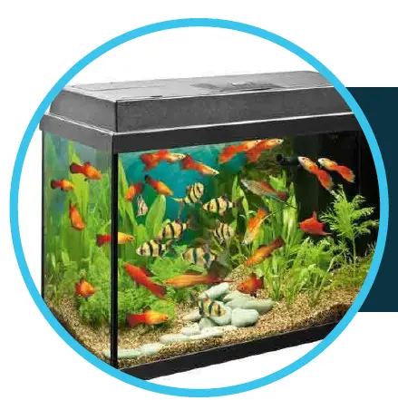 DROP-City-Smart-Water-Softener-07