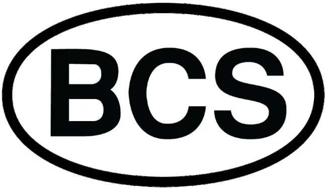 BCS AMERICA logo