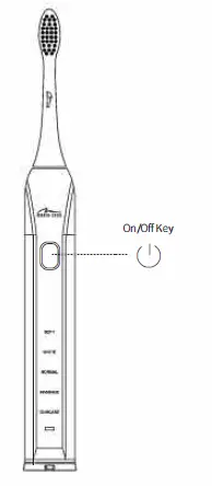 media-tech-MT6519-Sonic-Waveclean-Pro-10