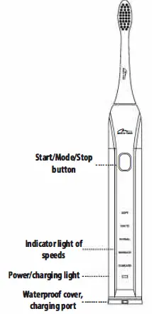 media-tech-MT6519-Sonic-Waveclean-Pro-5