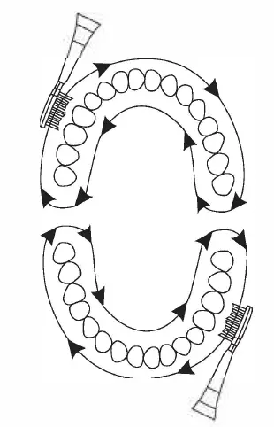 media-tech-MT6519-Sonic-Waveclean-Pro-56