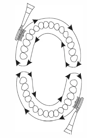media-tech-MT6519-Sonic-Waveclean-Pro-9
