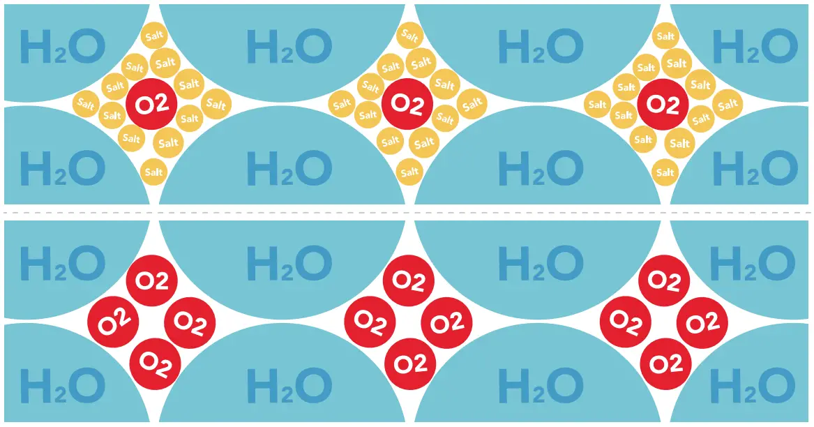 Atlas Scientific EZO Complete Dissolved Oxygen Meter - Salinity