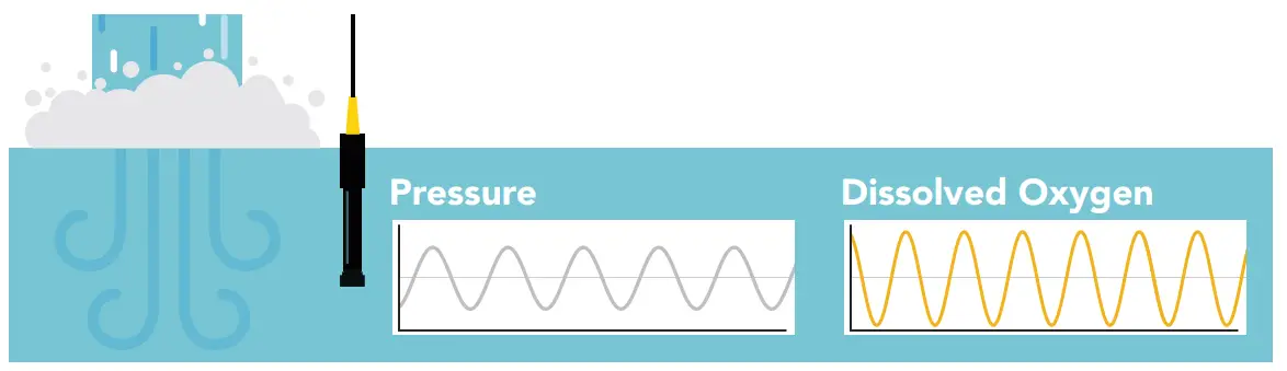 Atlas Scientific EZO Complete Dissolved Oxygen Meter - choosing a spot