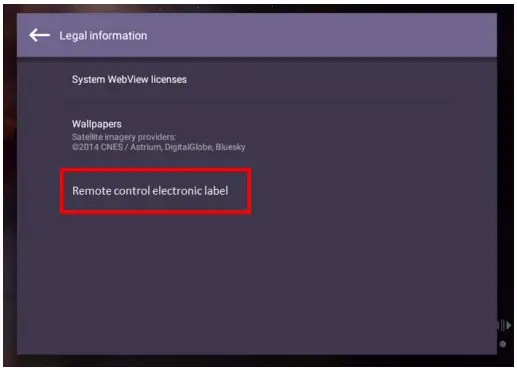 Remote control electronic label