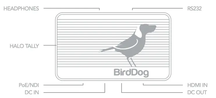 BirdDog Flex 4K In and Backpack Converter Mini HDMI to NDI Encoder Decoder - Mini 1